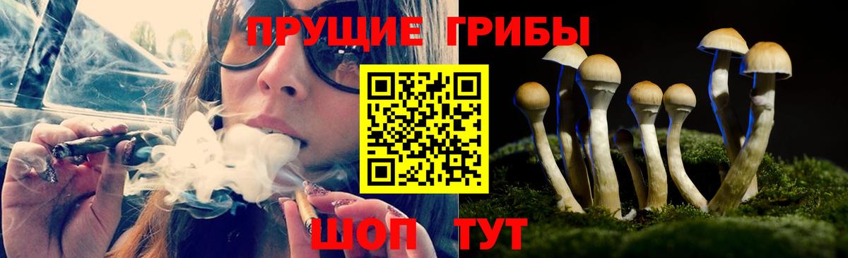 Галлюциногенные грибы Cubensis  Вход с VPN  как найти наркотики  Псилоцибиновые грибы Psilocybe  Усолье-Сибирское 